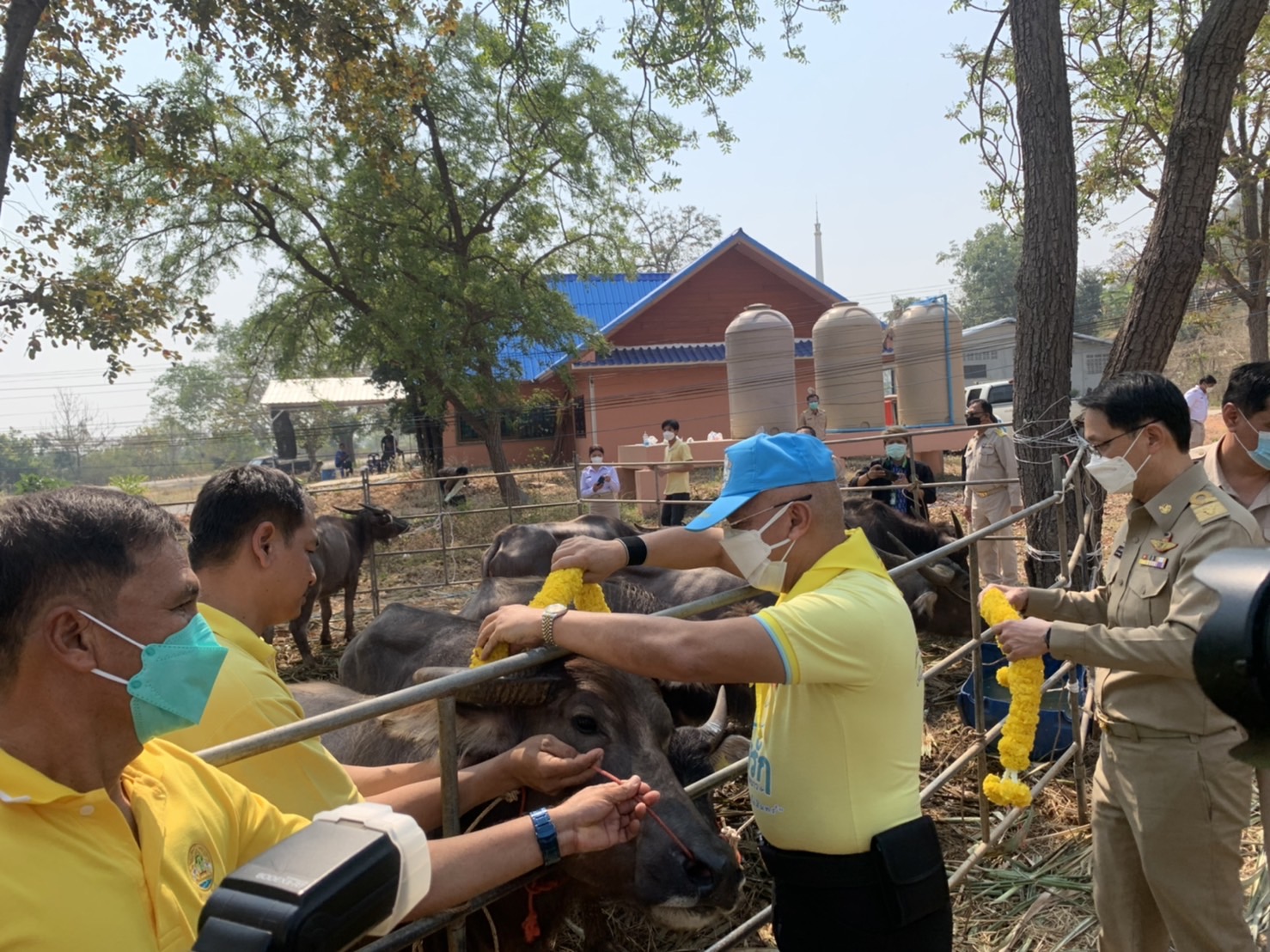 ส.ป.ก.กาญจนบุรี เข้าร่วมพิธีรับพระราชทานกระบือทรงไถ่ชีวิต ถวายเป็นพุทธบูชา ธรรมบูชา สังฆบูชา ณ วัดเขากาญจนาเขต