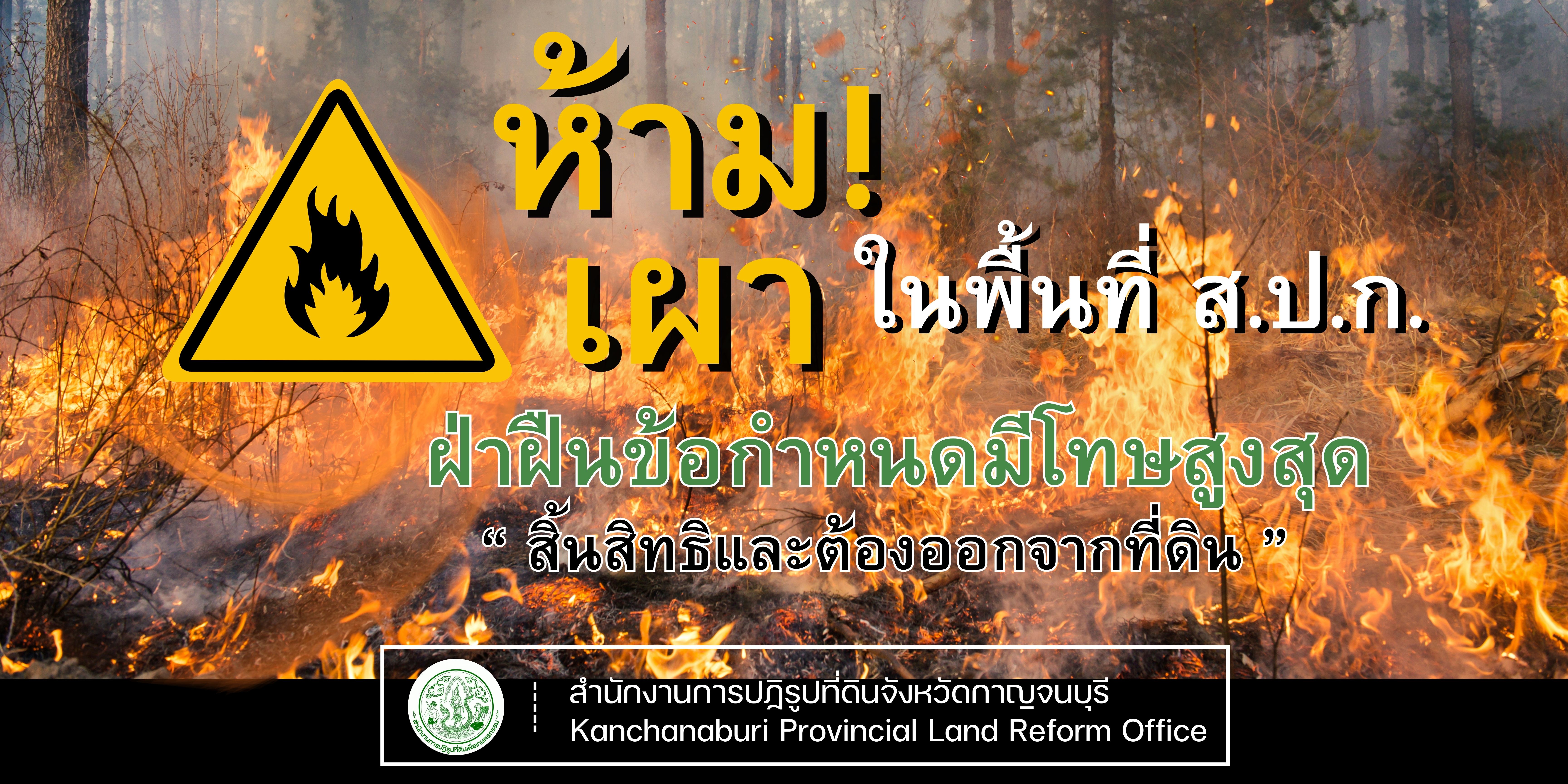 การเผา