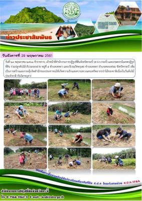 ข้าราชการ, เจ้าหน้าที่ ส.ป.ก.กระบี่ และเกษตรกรในเขตปฏิรูปที่ดิน ร่วมปลูกต้นไม้บริเวณรอบฝาย หมู่ที่ 5 ตำบลเพหลา และบริเวณวัดพรุเตย ตำบลเพหลา อำเภอคลองท่อม จังหวัดกระบี่ 