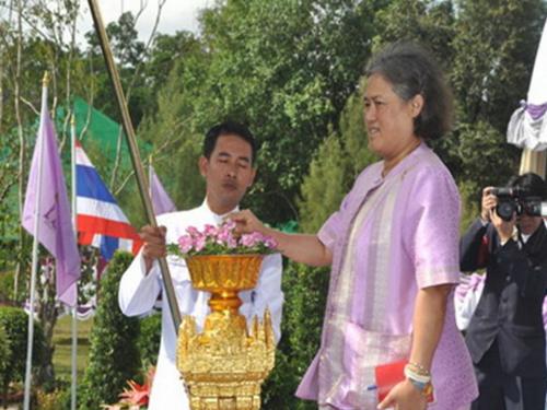 เหลืองกระบี่ ศรีอันดามัน อาชีวะเกษตรแฟร์ 55 