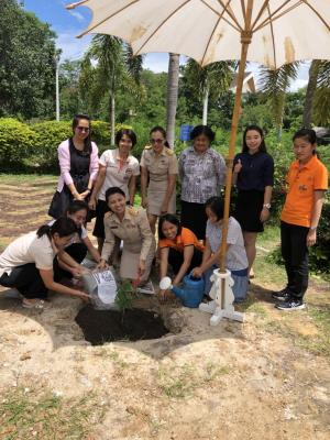 โครงการประชารัฐร่วมใจ ปลูกต้นไม้ให้แผ่นดิน ปี พ.ศ.2561