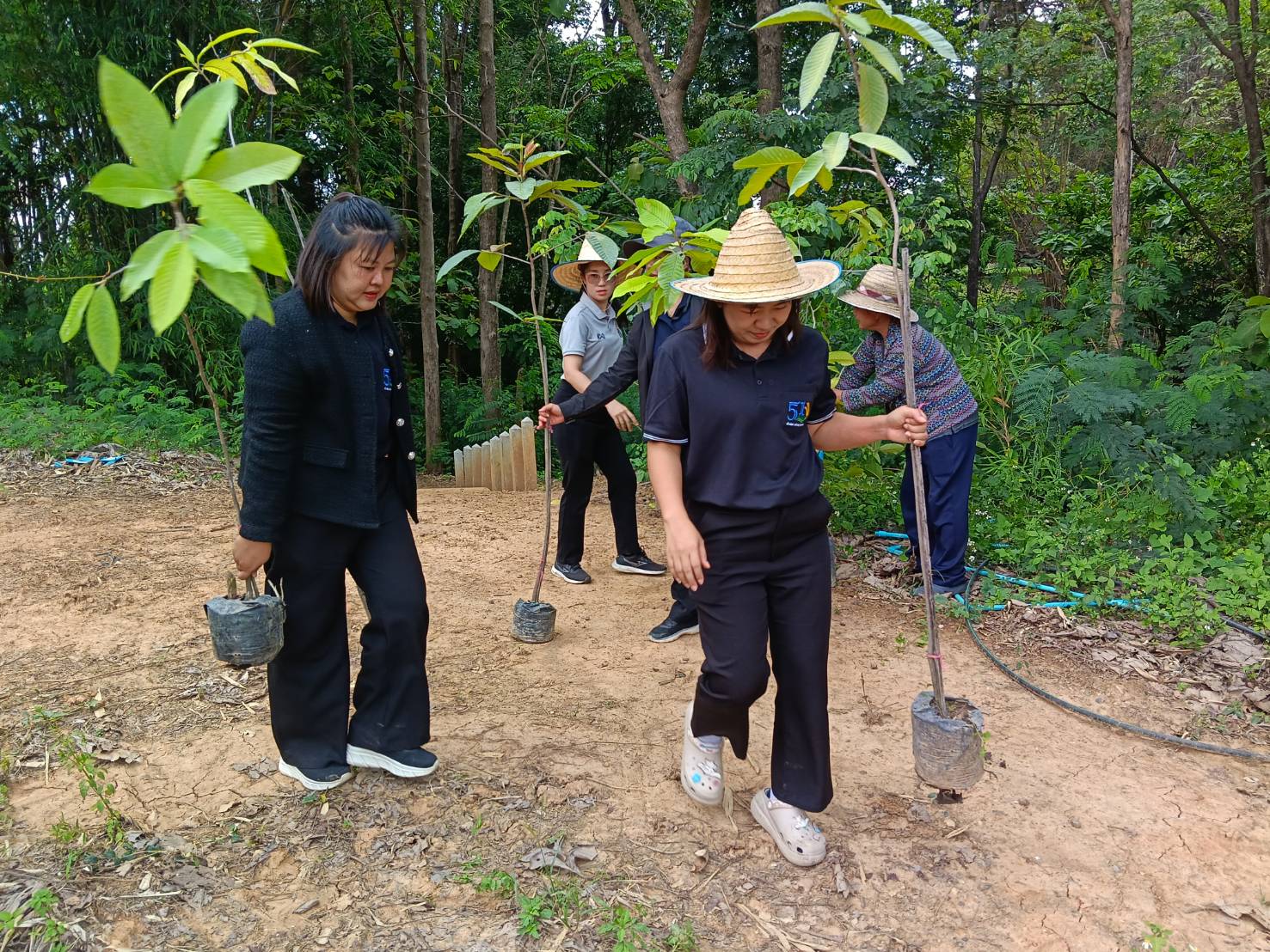 title - ส.ป.ก.ลำพูน ร่วมกิจกรรมปลูกต้นไม้ เนื่องในวันต้นไม้ประจำปีของชาติ ประจำปี พ.ศ. 2569 เพิ่มพื้นที่สีเขียวในพื้นที่เขตปฏิรูปที่ดินจังหวัดลำพูน