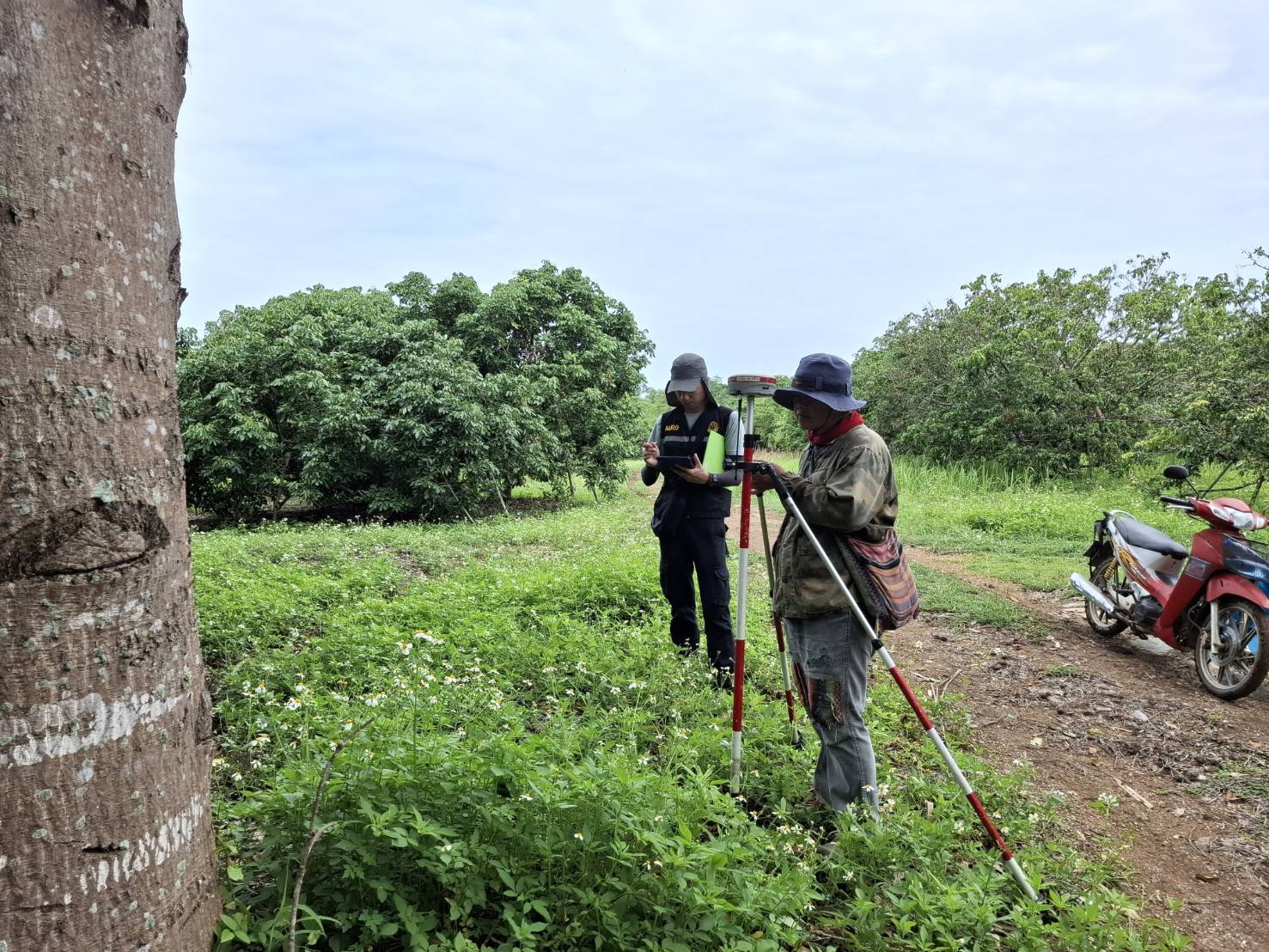 title - ส.ป.ก.ลำพูน ลงพื้นที่ดำเนินการรังวัดปรับปรุงแผนที่ตามมาตรฐาน RTK GNSS NETWORK ประจำปีงบประมาณ พ.ศ. 2569