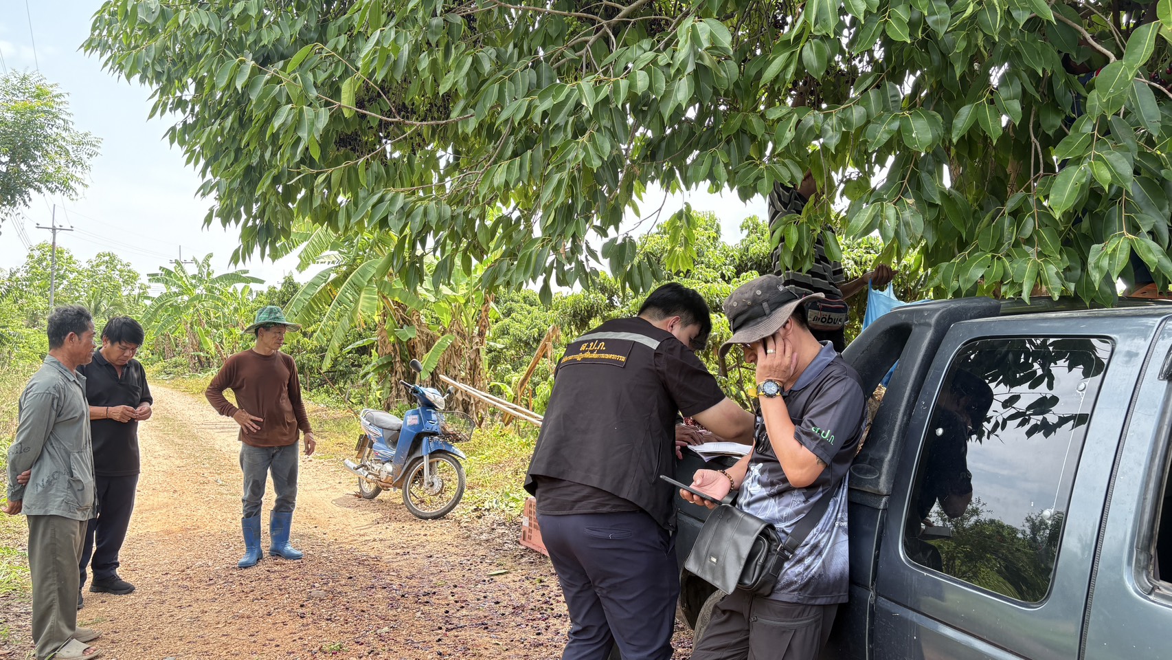 title -  ส.ป.ก.ลำพูน บูรณาการกลุ่มงานช่างและแผนที่ร่วมกลุ่มกฎหมาย ลงพื้นที่ตรวจสอบกรณีจัดที่ดินผิดพลาด พื้นที่ตำบลหนองปลาสะวาย อำเภอบ้านโฮ่ง