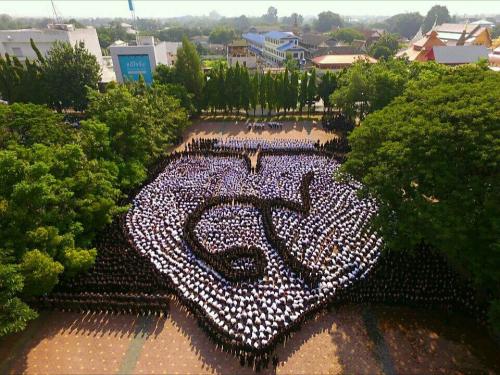 ส.ป.ก.ลำพูน ร่วมแสดงความรำลึกในพระมหากรุณาธิคุณ ของพระบาทสมเด็จพระปรมินทรมหาภูมิพลอดุลยเดช มหิตลาธิเบศรรามาธิบดี จักรีนฤบดินทร สยามมินทราธิราช บรมนาถบพิตร 