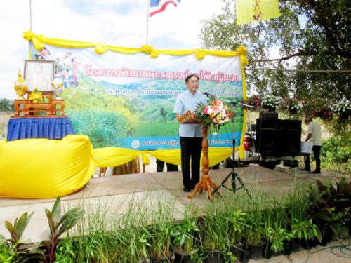 โครงการรณรงค์และส่งเสริมการปลูกหญ้าแฝก ปี 2558  
