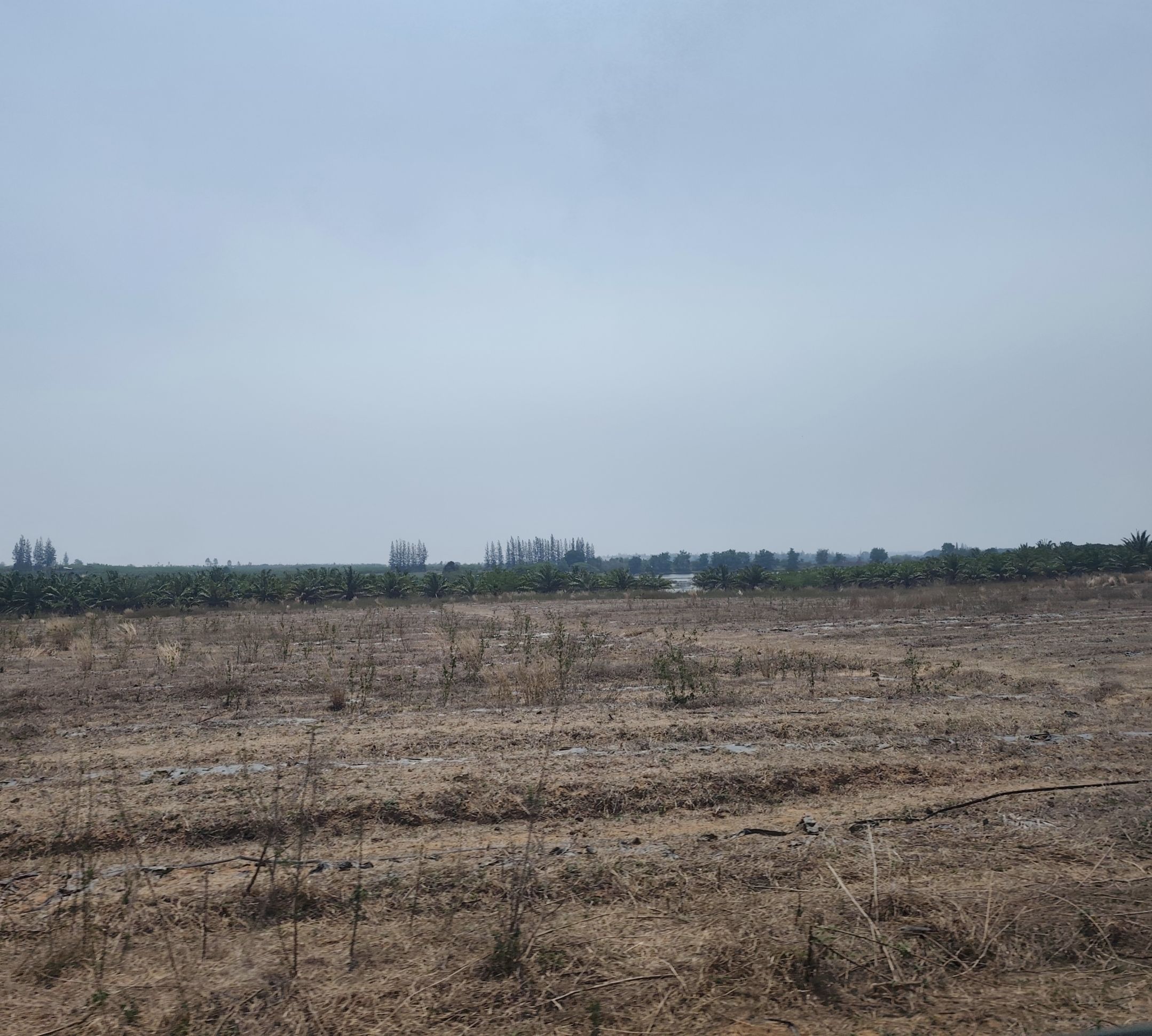 title - สจก. ติดตามผลการดำเนินงานโครงการอนุญาตใช้ประโยชน์ที่ดิน ประจำปีงบประมาณ พ.ศ. 2569 และหารือแนวทางการจัดที่ดินในพื้นที่เป้าหมาย จังหวัดราชบุรี