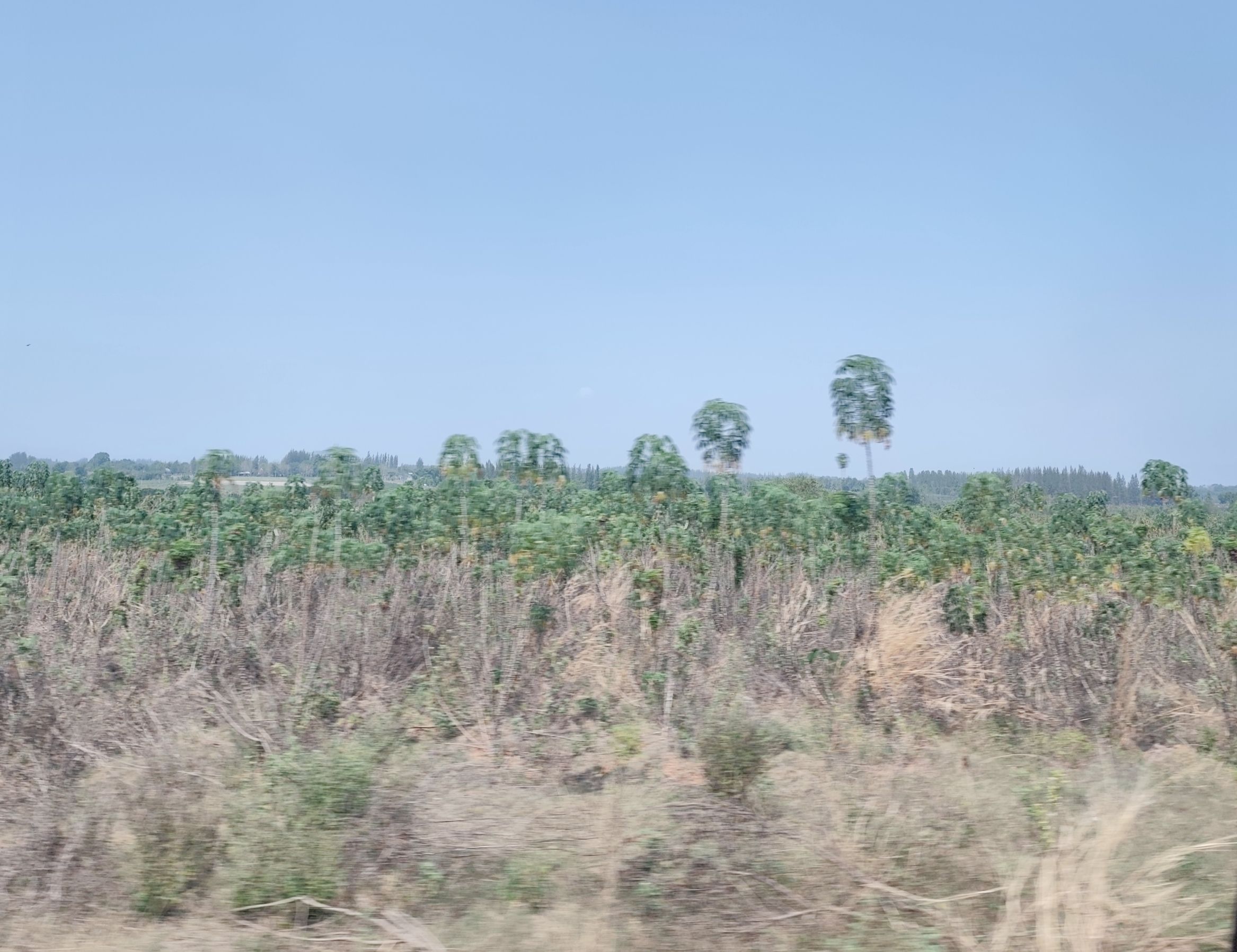 title - สจก. ติดตามผลการดำเนินงานโครงการอนุญาตใช้ประโยชน์ที่ดิน ประจำปีงบประมาณ พ.ศ. 2569 และหารือแนวทางการจัดที่ดินในพื้นที่เป้าหมาย จังหวัดราชบุรี