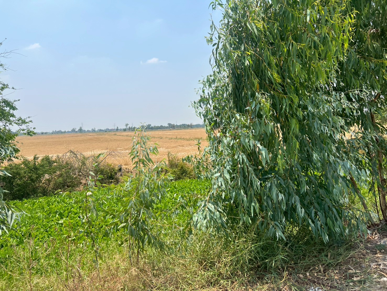title - สจก. ร่วมประชุมหารือกับสำนักงานการปฏิรูปที่ดินจังหวัดพระนครศรีอยุธยา เพื่อวางแผนจัดเก็บข้อมูลและแก้ไขปัญหาที่ดินโครงการพัฒนาเกษตรชลประทานลุ่มแม่น้ำเจ้าพระยา