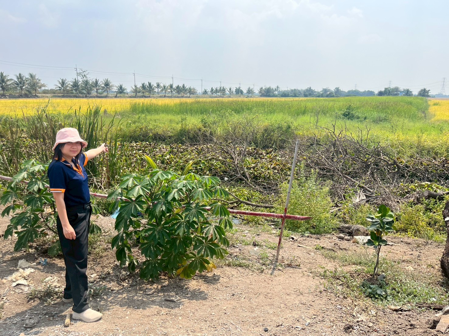 title - สจก. ร่วมประชุมหารือกับสำนักงานการปฏิรูปที่ดินจังหวัดพระนครศรีอยุธยา เพื่อวางแผนจัดเก็บข้อมูลและแก้ไขปัญหาที่ดินโครงการพัฒนาเกษตรชลประทานลุ่มแม่น้ำเจ้าพระยา