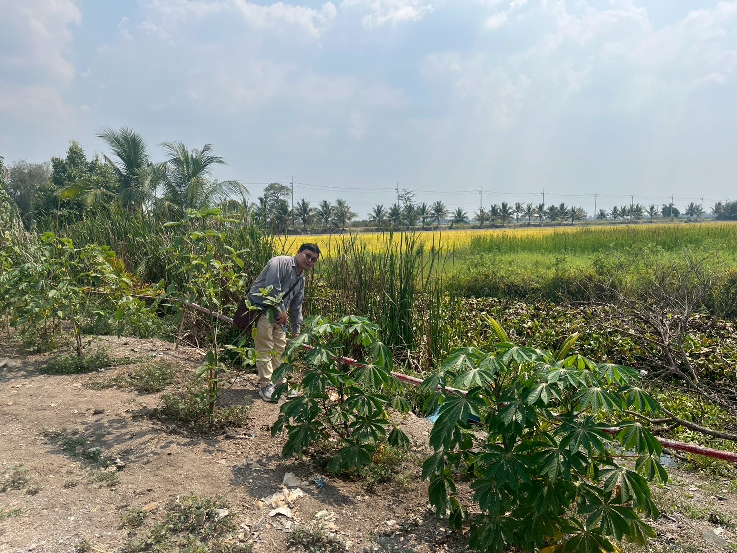 title - สจก. ร่วมประชุมหารือกับสำนักงานการปฏิรูปที่ดินจังหวัดพระนครศรีอยุธยา เพื่อวางแผนจัดเก็บข้อมูลและแก้ไขปัญหาที่ดินโครงการพัฒนาเกษตรชลประทานลุ่มแม่น้ำเจ้าพระยา
