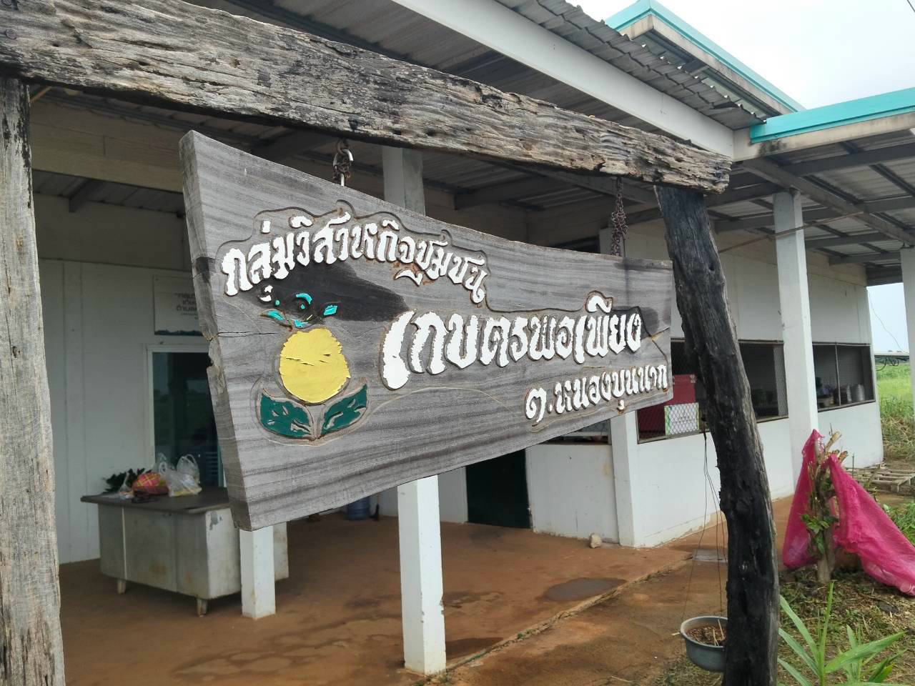 กลุ่มวิสาหกิจชุมชนกลุ่มเกษตรพอเพียง ตำบลหนองบุนนาก