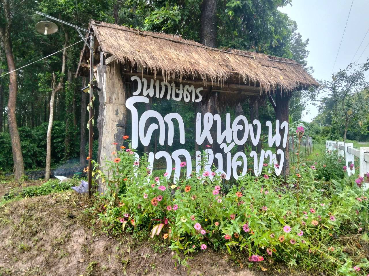 กลุ่มแปลงใหญ่สมุนไพร บ่อสวกเฮิร์บ