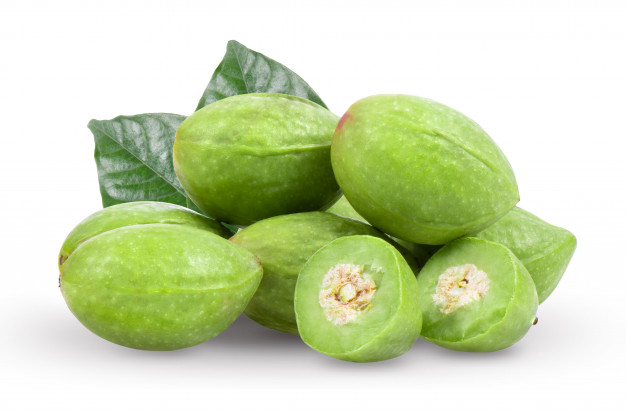 สมอไทย (ศูนย์ส่งเสริมฯ ภาคกลาง)