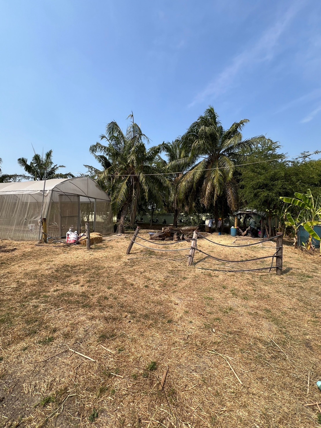 เตรียมความพร้อมสถานที่ บริเวณแปลงด้านหลังศูนย์ฯ เพื่อใช้ในกิจกรรมอบรมสัมมนา และเป็นพื้นที่สำหรับสาธิตองค์ความรู้ด้านสมุนไพร