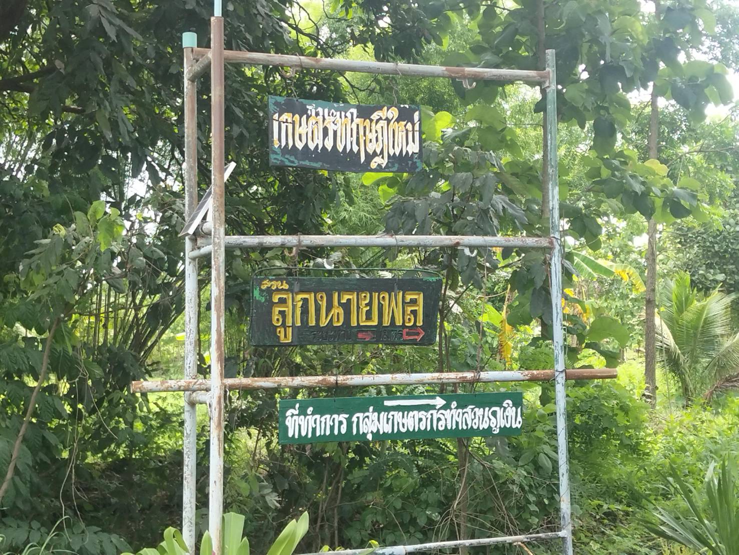 title - ศูนย์การเรียนรู้แปลงเกษตรทฤษฎีใหม่ (สวนแม่เจียมลูกนายพล) 