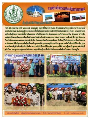 ภาพข่าวกิจกรรมส่งเสริมการเกษตร