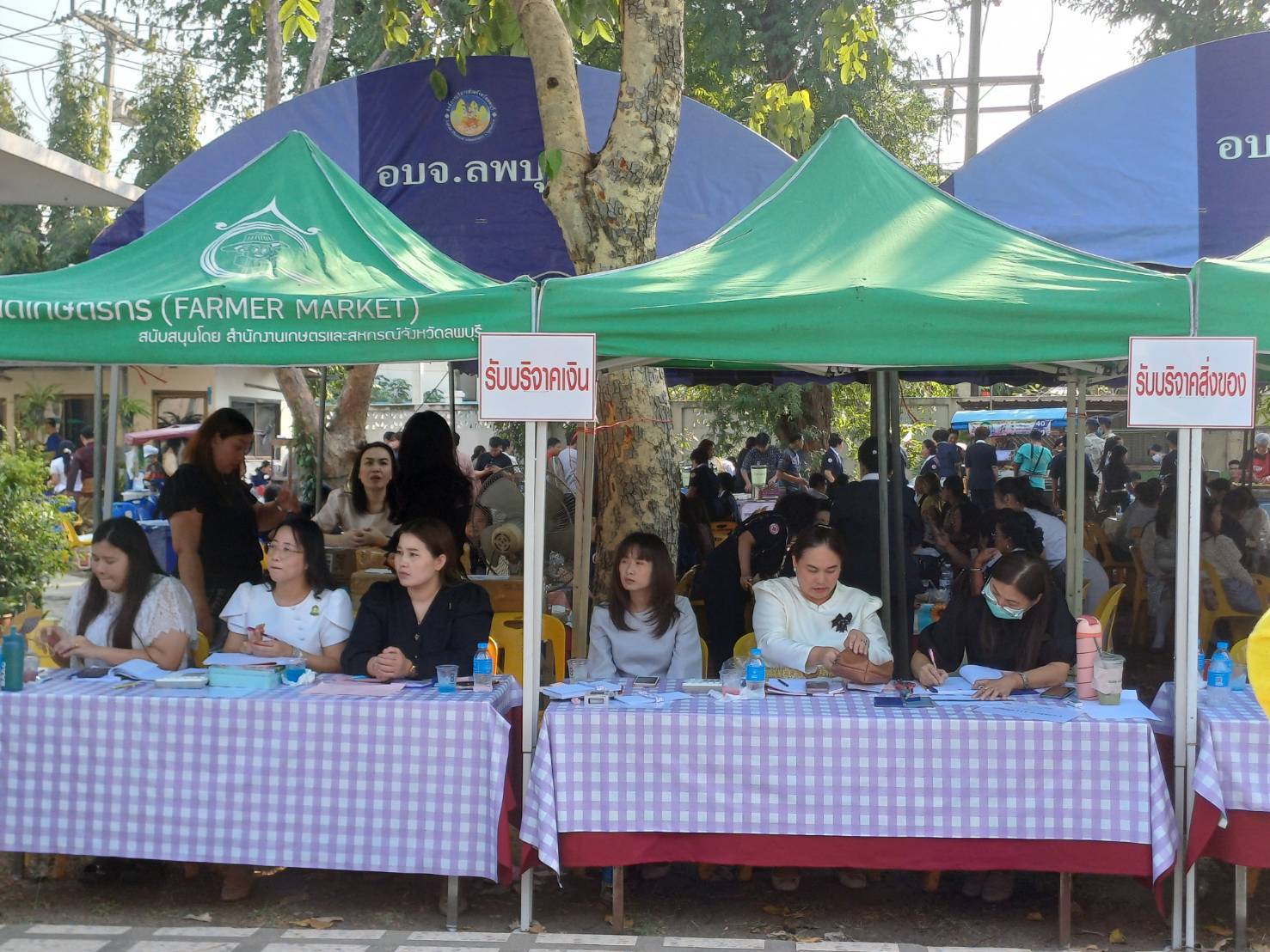 title - วันที่ 19 มกราคม 2569 เวลา 09.00 น. นางสาววรัญญา นิ่มกุล ปฏิรูปที่ดินจังหวัดลพบุรี และเจ้าหน้าที่ ส.ป.ก.ลพบุรี เข้าร่วมกิจกรรม “วันรวมน้ำใจให้เหล่ากาชาดจังหวัดลพบุรี”และร่วมบริจาคเงินให้กับเหล่ากาชาดจังหวัดลพบุรี เพื่อนำไปดูแลความเป็นอยู่ของผู้ยากไร้ ผู้ด้อยโอกาส การส่งเสริมคุณภาพชีวิต ให้แก่ประชาชน เพื่อให้ประชาชนที่เดือดร้อนมีคุณภาพชีวิต และความเป็นอยู่ที่ดีขึ้น ณ จวนผู้ว่าราชการจังหวัดลพบุรี อำเภอเมืองลพบุรี จังหวัดลพบุรี