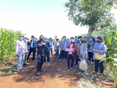 จัดอบรมโครงการระบบส่งเสริมเกษตรแบบแปลงใหญ่ ปีงบประมาณ 2564 (ชนิดสินค้าข้าวโพดเลี้ยงสัตว์) กิจกรรม การศึกษาดูงานการบริหารจัดการตลาดอย่างยั่งยืน