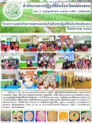 โครงการระบบส่งเสริมการเกษตรแบบแปลงใหญ่ในเขตปฏิรูปที่ดินจังหวัดแม่ฮ่องสอน  ปีงบประมาณ  ๒๕๖๒