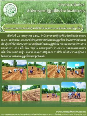 กิจกรรมการจัดทำแปลงเรียนรู้การใช้ประโยชน์จากระบบหญ้าแฝกในเขตปฏิรูปที่ดิน