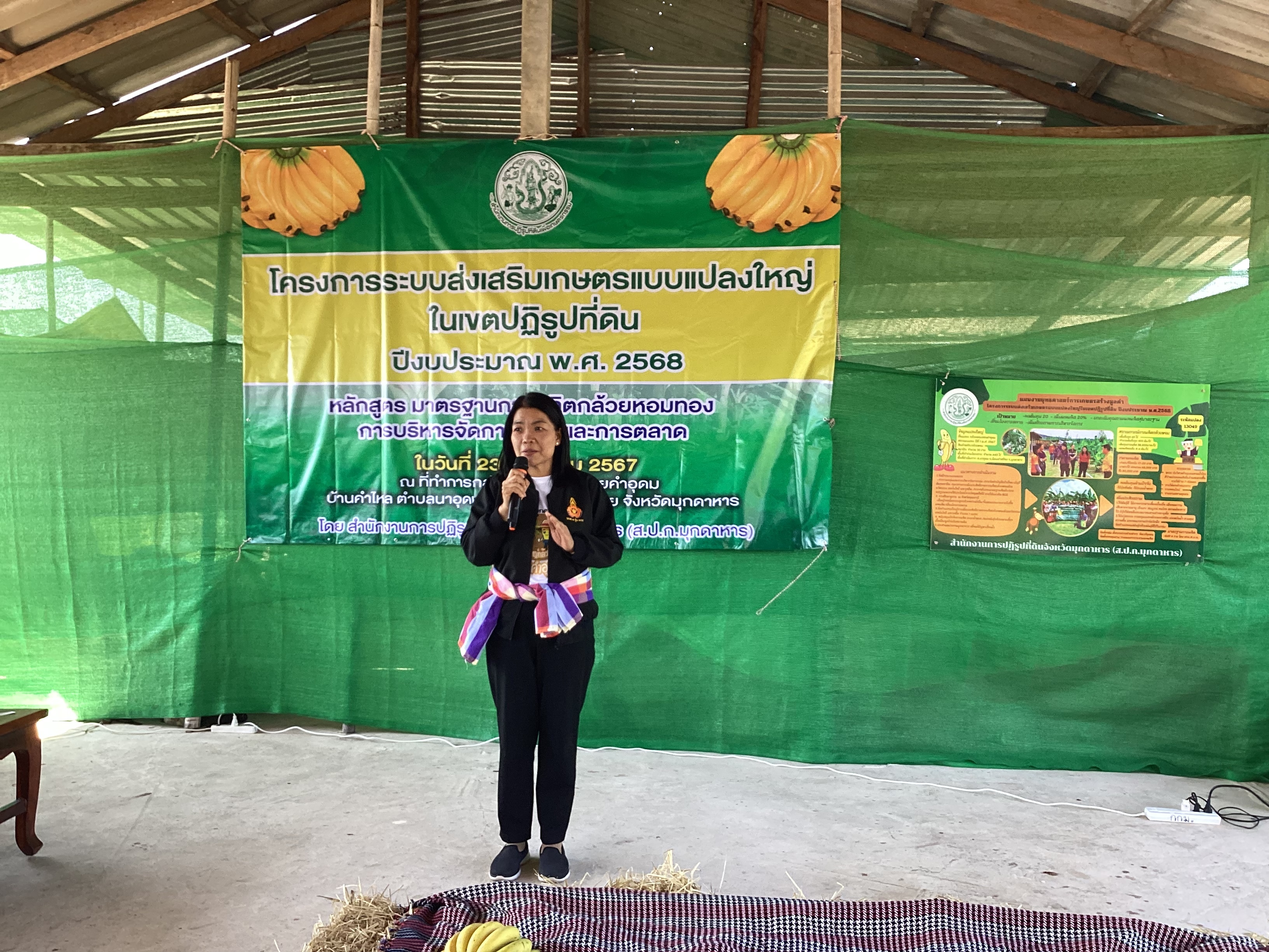 แปลงใหญ่กล้วยหอมทองคำอุดมในเขตปฏิรูปที่ดิน