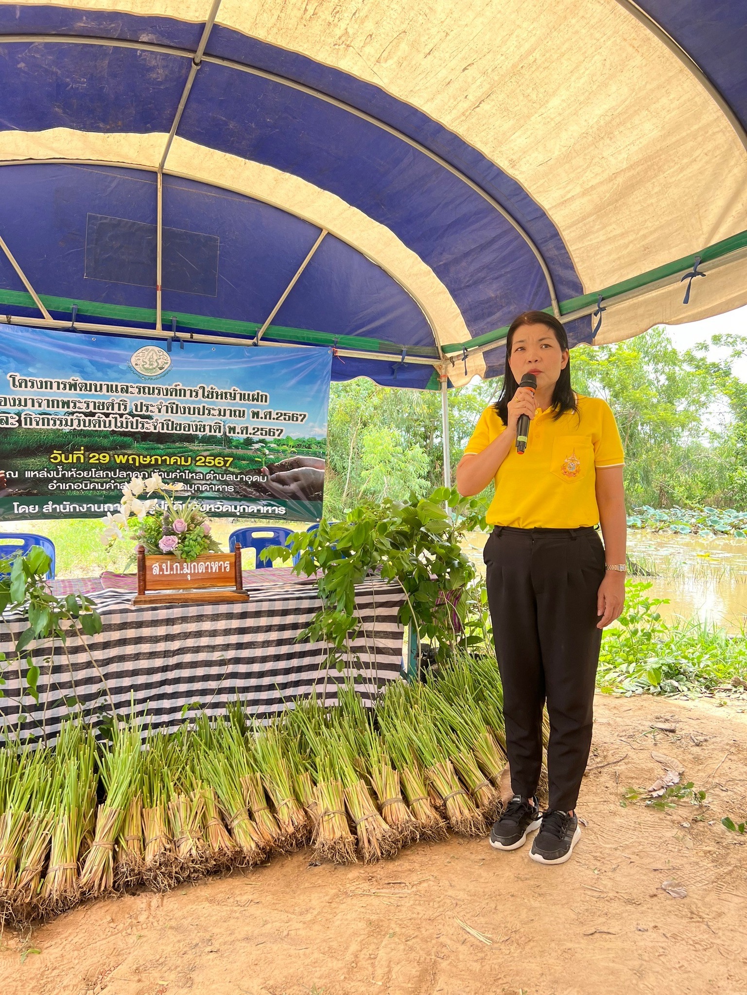 กิจกรรมโครงการพัฒนาและรณรงค์การใช้หญ้าแฝกอันเนื่องมาจากพระราชดำริ 