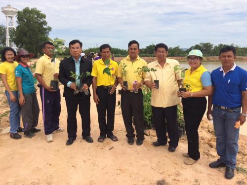 โครงการรณรงค์ปลูกหญ้าแฝกอันเนื่องมาจากพระราชดำริในเขตปฏิรูปที่ดิน