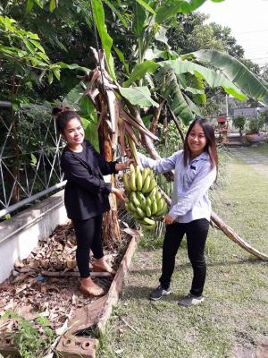 ผลผลิตของศูนย์เรียนรู้เพื่อส่งเสริมปรัชญาของเศรษฐกิจพอเพียงและเกษตรทฤษฎีใหม่ ของ ส.ป.ก.มุกดาหาร ประจำเดือนพฤษภาคม 2560