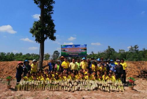 โครงการพัฒนาและการรณรงค์การปลูกหญ้าแฝกอันเนื่องมาจากพระราชดำริฯ ประจำปีงบประมาณ พ.ศ. 2562
