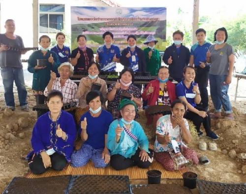 ฝึกอบรมหลักสูตรส่งเสริมการปลูกพืชผักปลอดภัย