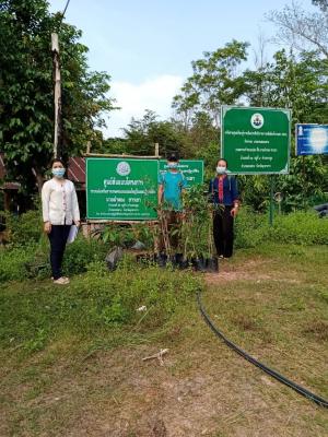 ประเมินผลโครงการระบบแบบแปลงใหญ่