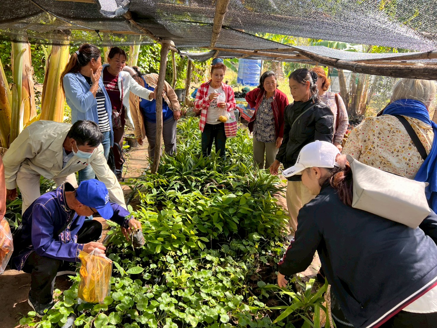 title - ฝึกอบรมโครงการเกษตรกรรมยั่งยืนในเขตปฏิรูปที่ดินจังหวัดมุกดาหาร