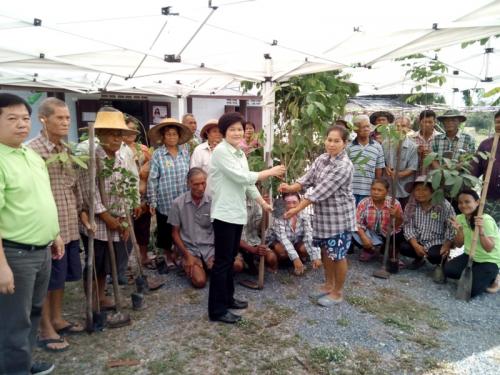การจัดกิจกรรมวันต้นไม้ประจำปีของชาติ พ.ศ.2557  