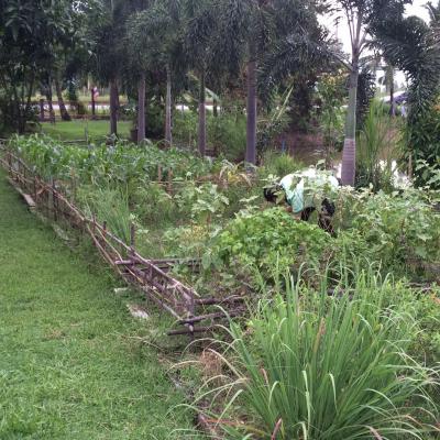 ศูนย์เรียนรู้เพื่อส่งเสริมปรัชญาของเศรษฐกิจพอเพียงและเกษตรทฤษฎีใหม่ ส.ป.ก.นครนายก 