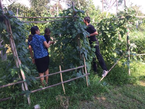 ศูนย์เรียนรู้เพื่อส่งเสริมปรัชญาของเศรษฐกิจพอเพียงและเกษตรทฤษฎีใหม่ ส.ป.ก.นครนายก ครั้งที่ 8