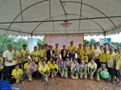 โครงการพัฒนา และรณรงค์การใช้หญ้าแฝก 
