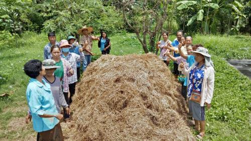โครงการ เกษตรอินทรีย์