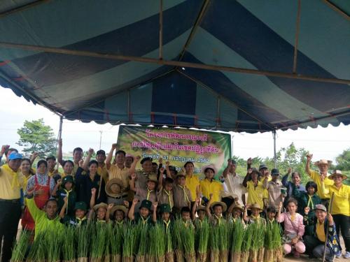 โครงการพัฒนาและรณรงค์การใช้หญ้าแฝกในเขตปฏิรูปที่ดิน ปี 2562