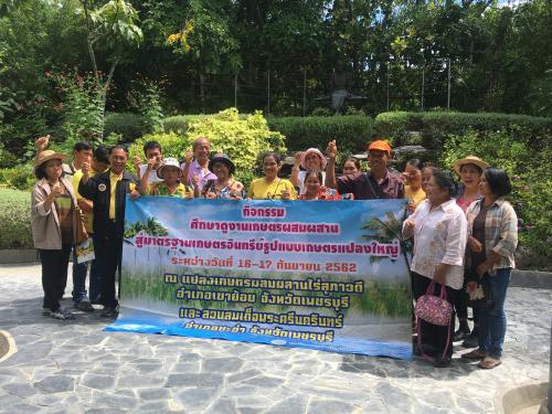 โครงการส่งเสริมเกษตรรูปแบบแปลงใหญ่ ประจำปีงบประมาณ 2562