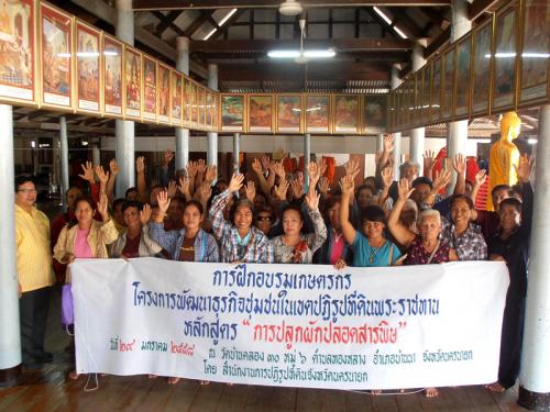 อบรมหลักสูตร การปลูกผักปลอดสารพิษ