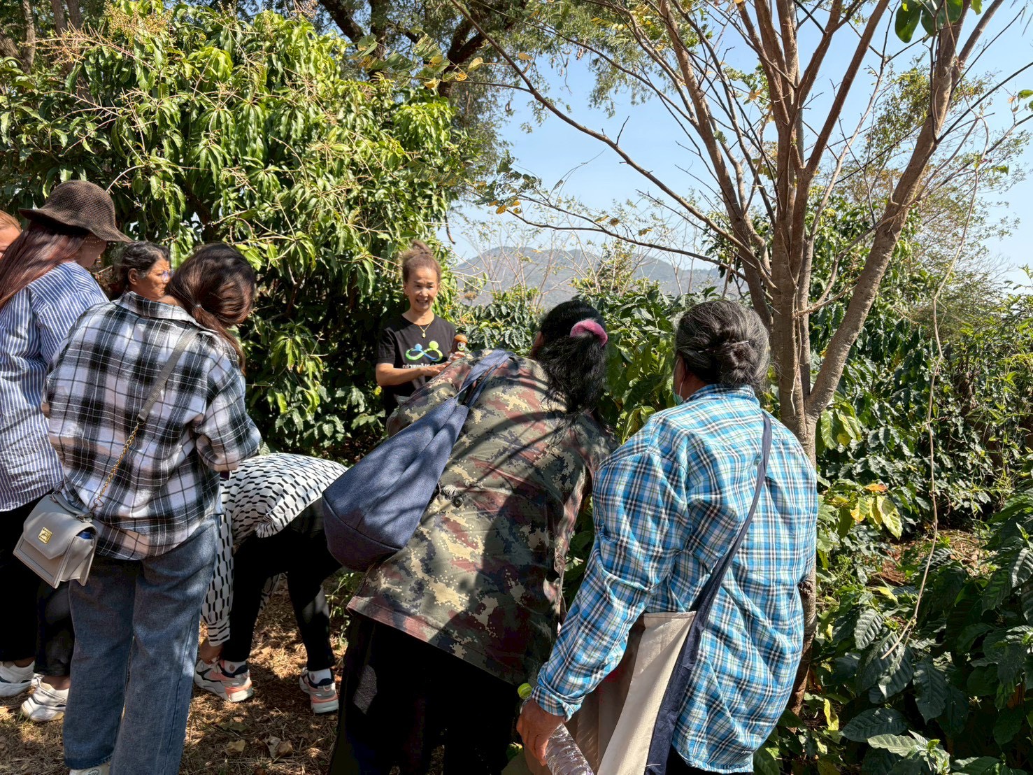 title - ส.ป.ก.นครปฐม จัดฝึกอบรมและศึกษาดูงานโครงการพัฒนาเกษตรกรปราดเปรื่องในเขตปฏิรูปที่ดินจังหวัดสระบุรี (Smart Farmer) ปีงบประมาณ พ.ศ. 2569