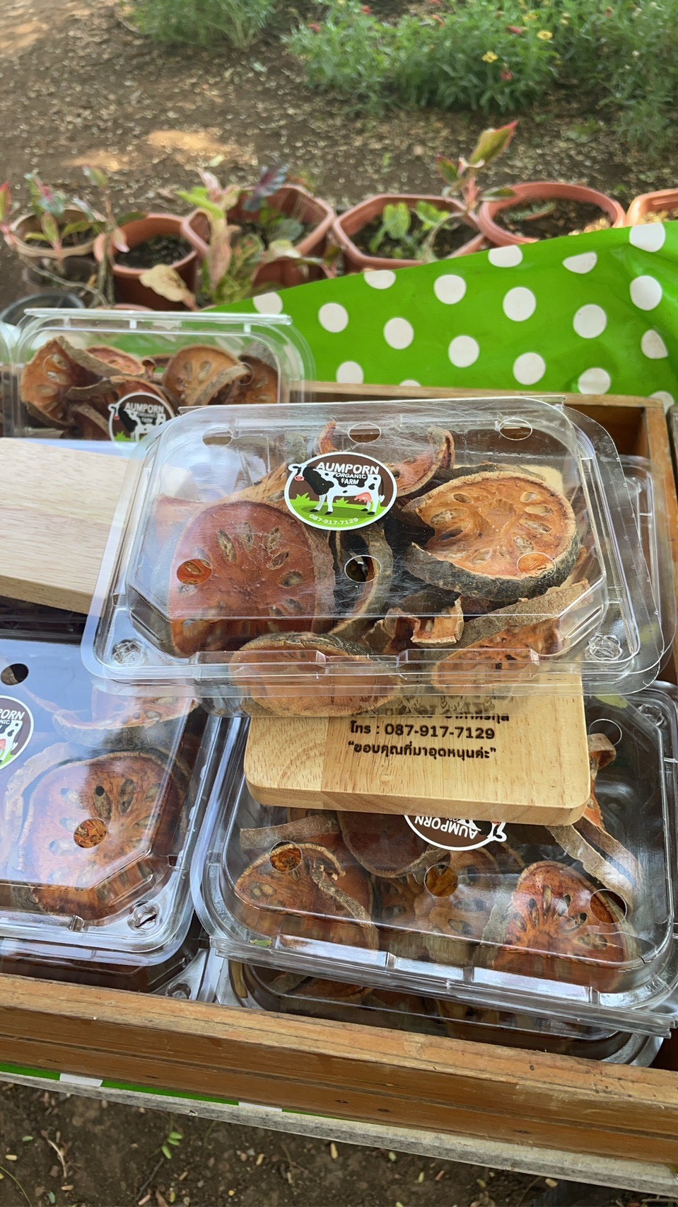 title - ส.ป.ก.นครปฐม จัดฝึกอบรมและศึกษาดูงานโครงการพัฒนาเกษตรกรปราดเปรื่องในเขตปฏิรูปที่ดินจังหวัดสระบุรี (Smart Farmer) ปีงบประมาณ พ.ศ. 2569