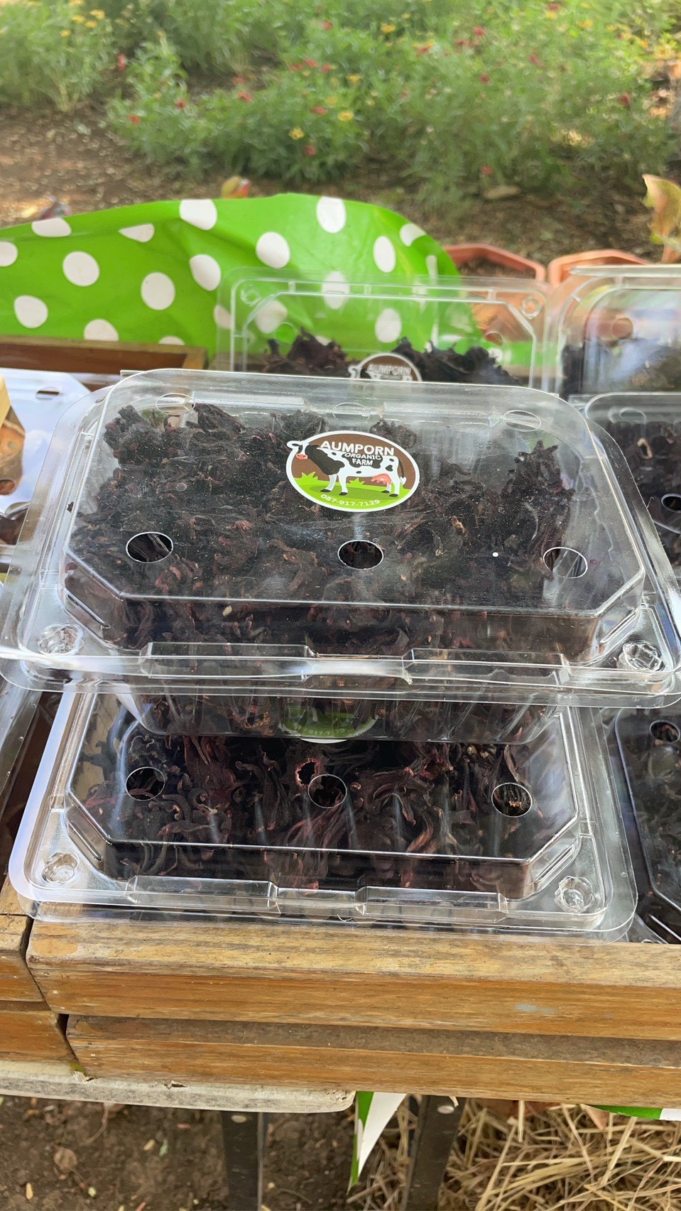 title - ส.ป.ก.นครปฐม จัดฝึกอบรมและศึกษาดูงานโครงการพัฒนาเกษตรกรปราดเปรื่องในเขตปฏิรูปที่ดินจังหวัดสระบุรี (Smart Farmer) ปีงบประมาณ พ.ศ. 2569