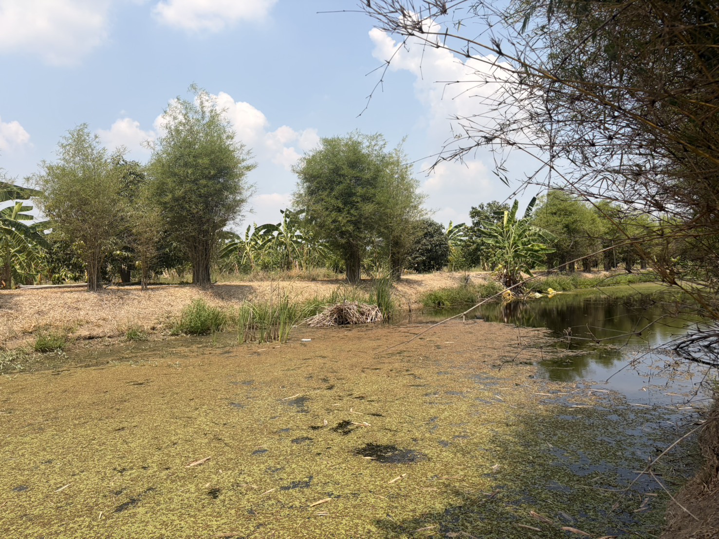 title - ส.ป.ก.นครปฐม ลงพื้นที่เพื่อจัดหาที่ดินที่มีการประกาศขายเพื่อจะได้เข้าสู่กระบวนการจัดซื้อที่ดินเอกชนและนำมาจัดที่ดินให้แก่เกษตรกร