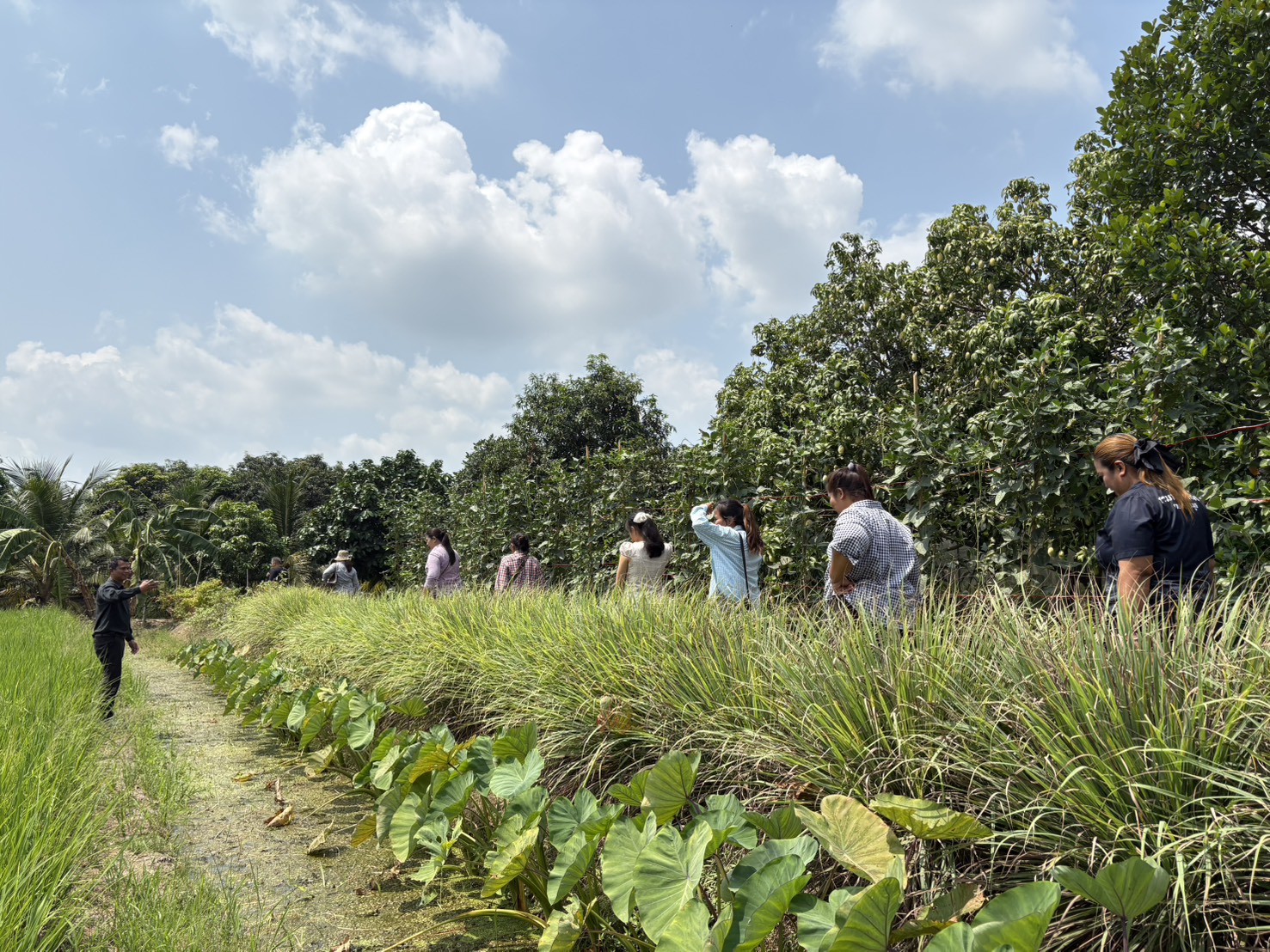 title - ส.ป.ก.นครปฐม จัดโครงการพัฒนาเกษตรกรปราดเปรื่องในเขตปฏิรูปที่ดินจังหวัดนครปฐม (Smart Farmer) ปีงบประมาณ พ.ศ. 2569
