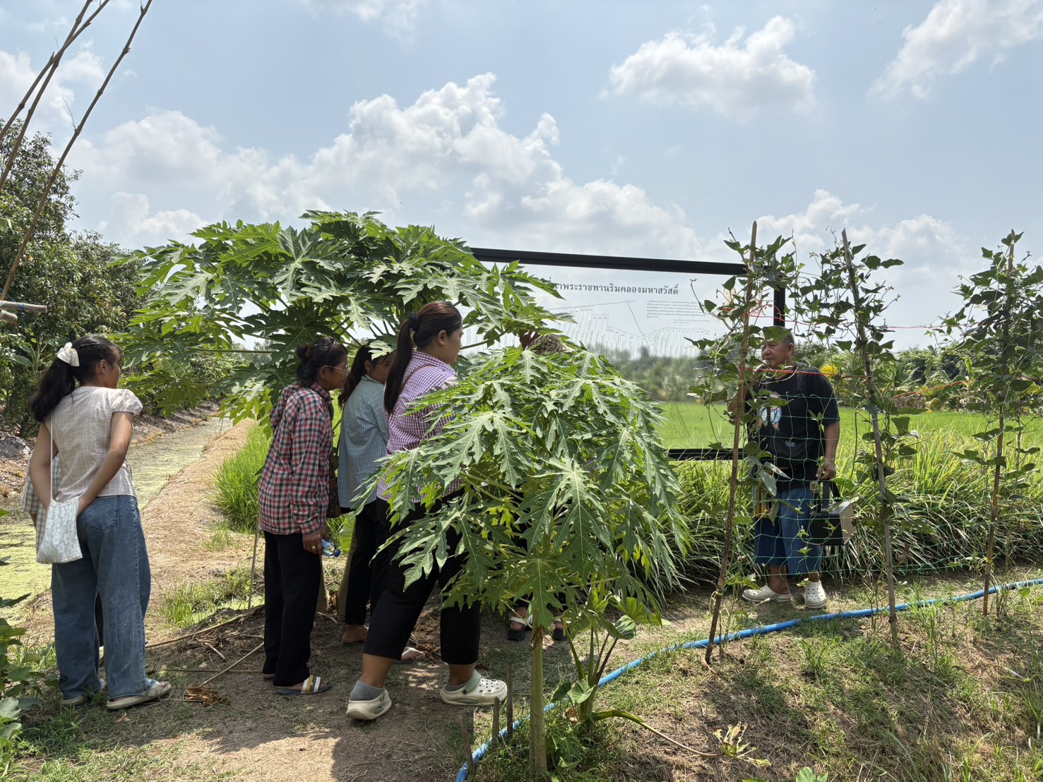 title - ส.ป.ก.นครปฐม จัดโครงการพัฒนาเกษตรกรปราดเปรื่องในเขตปฏิรูปที่ดินจังหวัดนครปฐม (Smart Farmer) ปีงบประมาณ พ.ศ. 2569