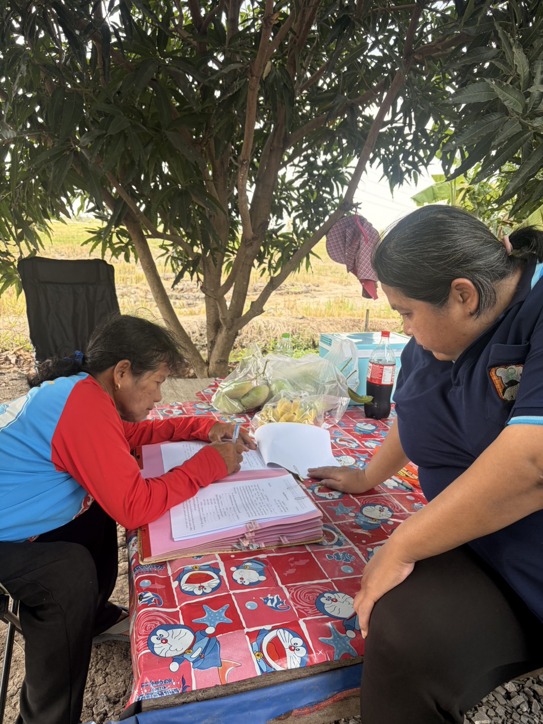 title - ส.ป.ก.นครปฐม ลงพื้นที่ให้บริการจัดทำสัญญากู้ยืมเงินสินเชื่อเกษตรกร จำนวน 13 ราย เป็นเงิน 650,000 บาท โครงการส่งเสริมปัจจัยการผลิตให้กับเเกษตรกรในเขตปฏิรูปที่ดินพื้นที่บางเลน ปี พ.ศ.2569