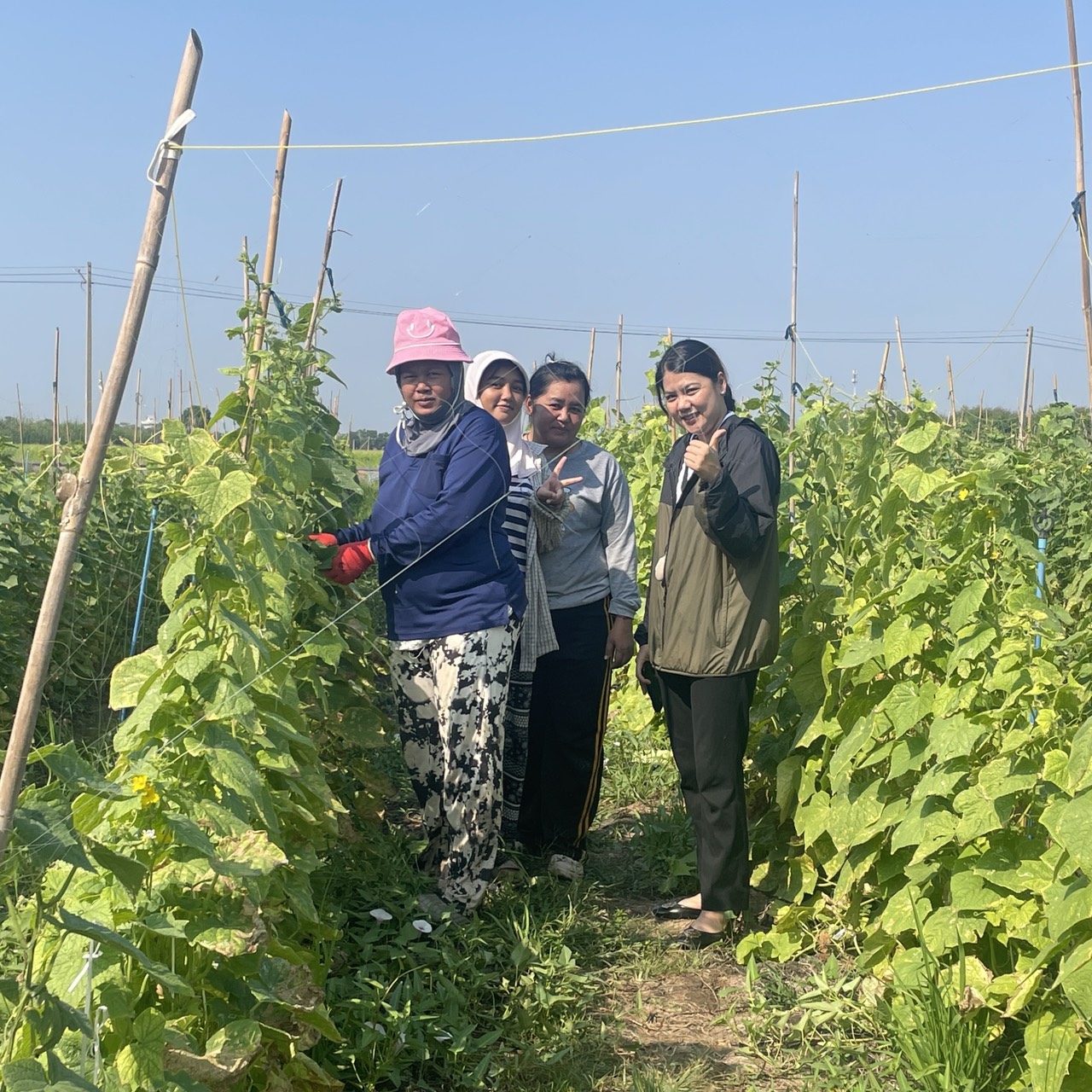 title - ส.ป.ก.นครปฐม ลงพื้นที่ดำเนินการติดต่อประสานงานเกษตรกรภายใต้โครงการพัฒนาธุรกิจชุมชน กิจกรรมพัฒนาธุรกิจชุมชนในเขตปฏิรูปที่ดิน ปีงบประมาณ พ.ศ. 2569