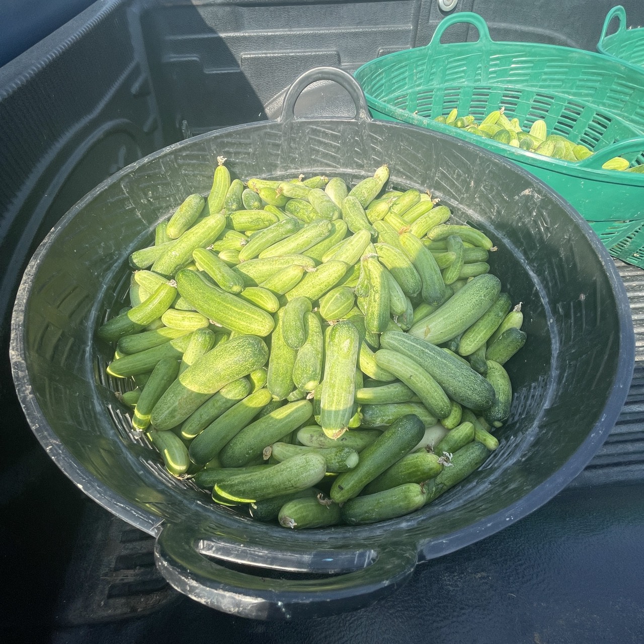 title - ส.ป.ก.นครปฐม ลงพื้นที่ดำเนินการติดต่อประสานงานเกษตรกรภายใต้โครงการพัฒนาธุรกิจชุมชน กิจกรรมพัฒนาธุรกิจชุมชนในเขตปฏิรูปที่ดิน ปีงบประมาณ พ.ศ. 2569